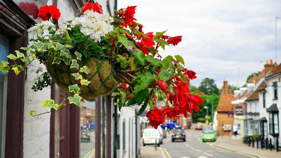 A hanging basket filled with vibrant red geraniums and lush green ivy trailing over the side, mounted on the exterior wall of a building in a quaint street. The basket is made of moss and wire, and th